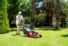 how-to-choose-the-best-austin-lawn-service-for-your-home