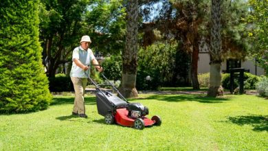 how-to-choose-the-best-austin-lawn-service-for-your-home