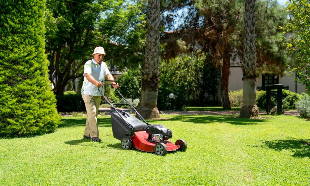 how-to-choose-the-best-austin-lawn-service-for-your-home